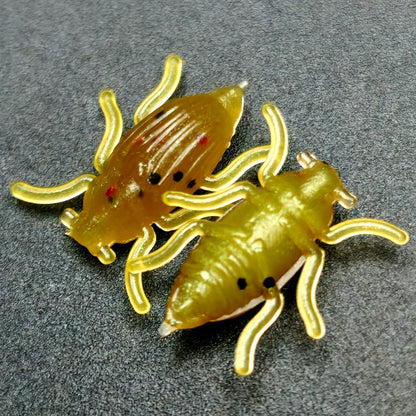 Jar of 0.5" Half Inch Micro Beetle "Toe Biter"