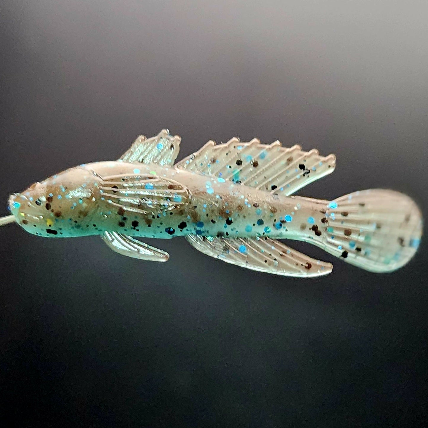 Jar of 1.5" Darter "The Stream Dancer"