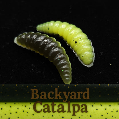 Jar of 1" Waxworm "The Tater Bug"