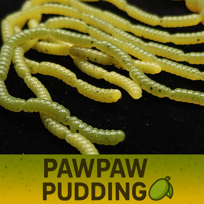 Jar of 0.5" Inch Micro Maggot Fly Larvae "The Apple Maggot"