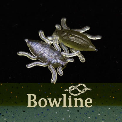 Jar of 0.5" Half Inch Micro Beetle "Toe Biter"