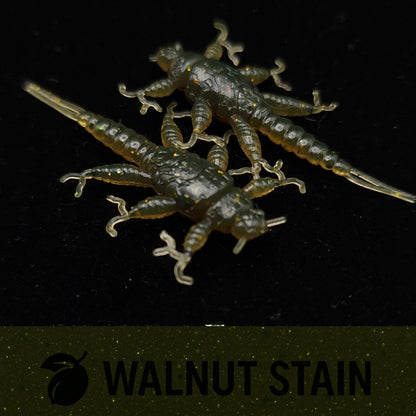 Jar of 1.5" Inch Stonefly Larvae "The Morelkin"