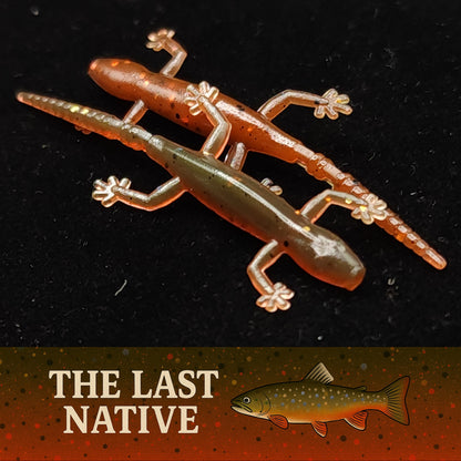 Jar of 2" Salamander "The Moss Dweller"